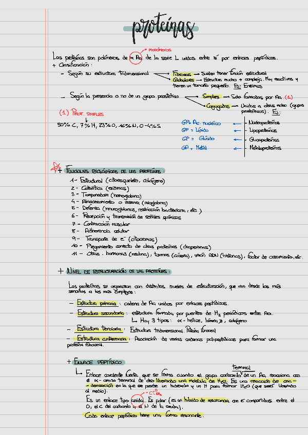Miniatura del documento PROTEINAS-BIOQUIMICA-VETERINARIA.pdf