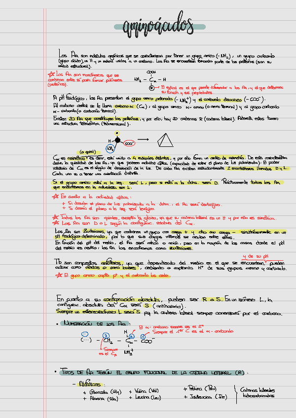 Miniatura del documento AMINOACIDOS-BIOQUIMICA-VETERINARIA.pdf