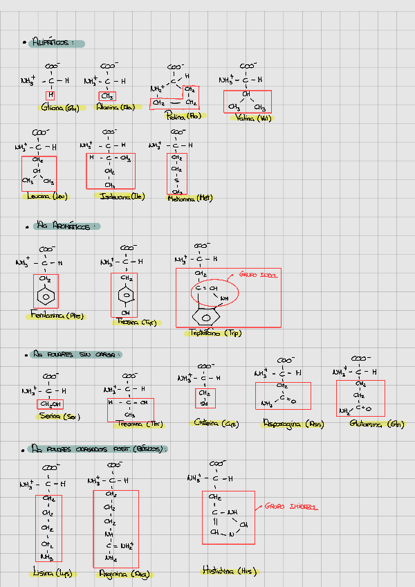 Miniatura del documento ESTRUCTURAS-Aa-BIOQUIMICA-VETERINARIA.pdf