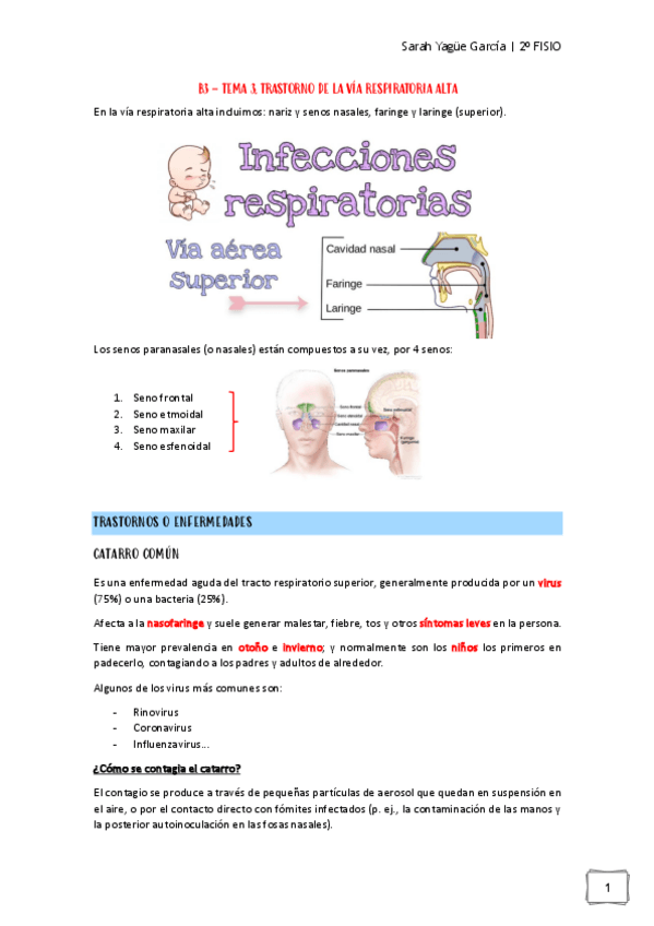 Miniatura del documento Afecciones-MQ-I-B3.-Tema-2-Trastornos-de-la-Via-Respiratoria-Alta.pdf