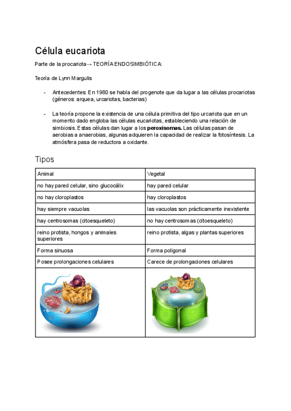 Miniatura del documento Biologia-2bach-citologia-IV-celula-eucariota-introduccion-y-membrana-plasmatica.pdf