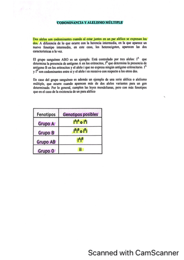 Miniatura del documento Codominancia-y-alelismo-multiple-Biologia-II.pdf