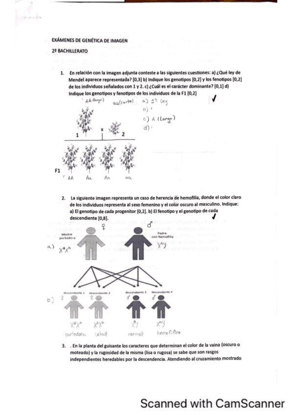 Miniatura del documento Ejercicios-genetica-resueltos-Biologia-II.pdf