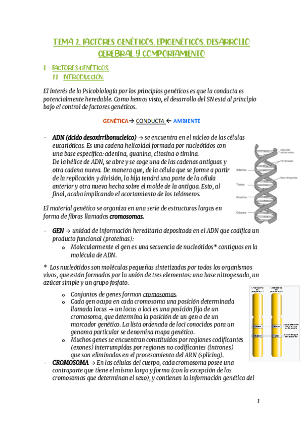Miniatura del documento RESUMEN-TEMA-2.pdf