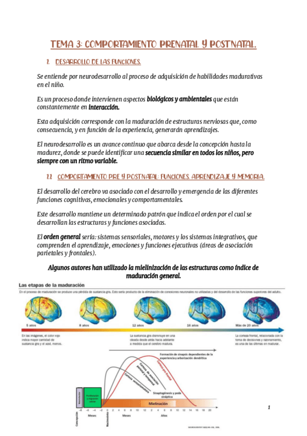 Miniatura del documento RESUMEN-TEMA-3.pdf