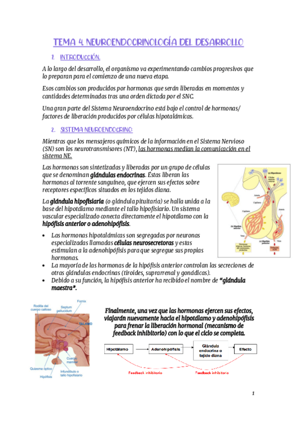 Miniatura del documento RESUMEN-TEMA-4.pdf