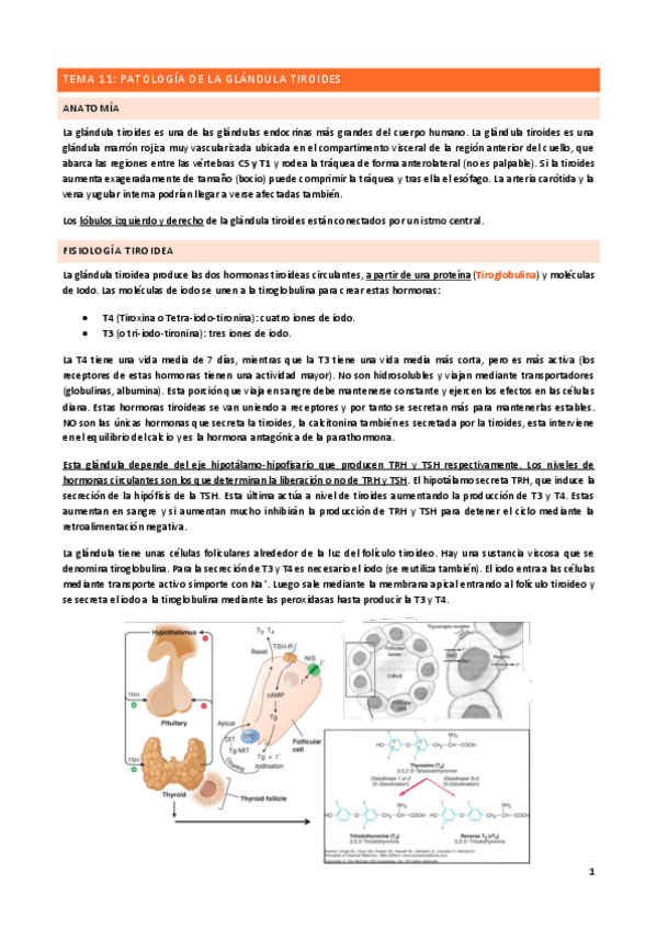 Miniatura del documento Tema-11.pdf
