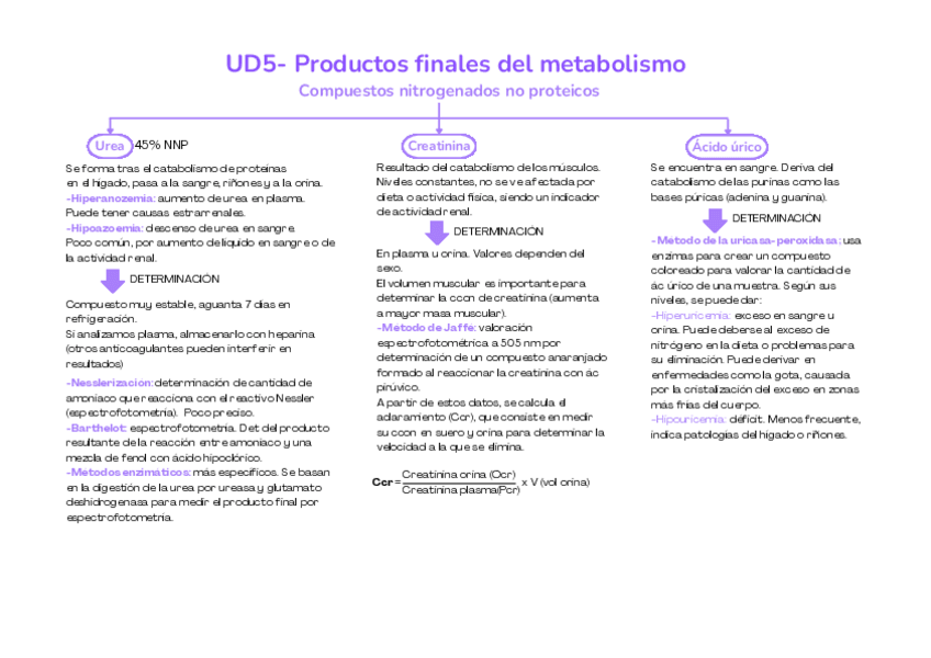 Miniatura del documento Esquema-Productos-finales-del-metabolismo.pdf