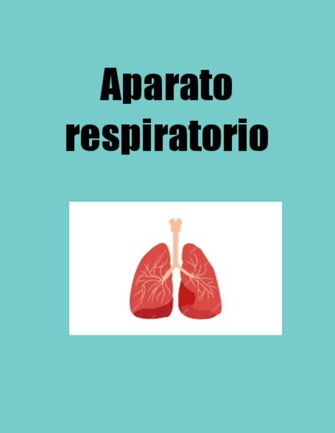Miniatura del documento APARATO-RESPIRATORIO.pdf