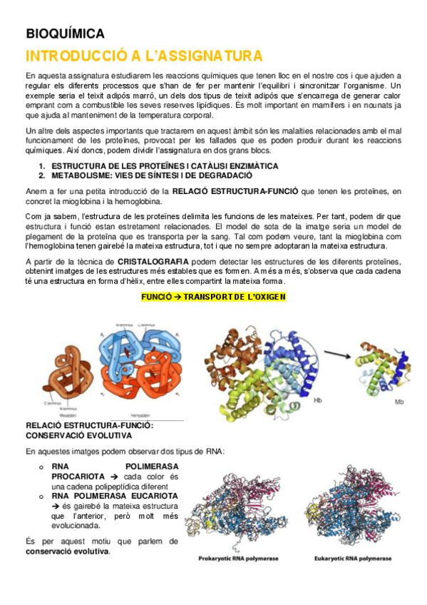 Miniatura del documento BLOC I BIOQUÍMICA (unitats 1 - 11).pdf