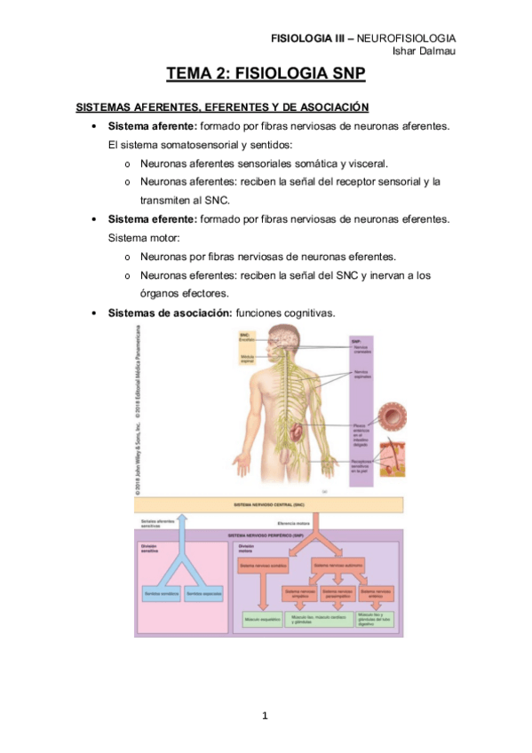 Miniatura del documento TEMA-2-SNP.pdf