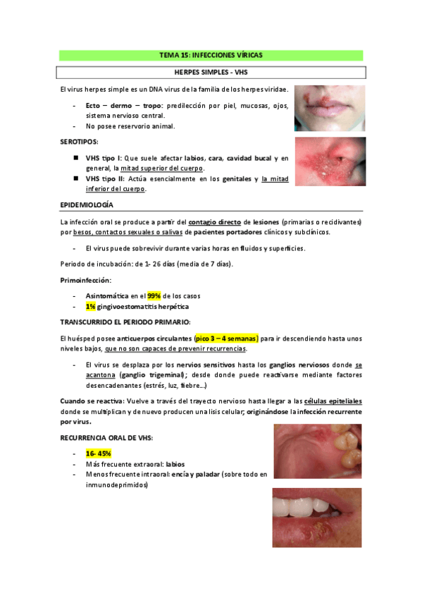 Miniatura del documento TEMA-15-INFECCIONES-VIRICAS.pdf