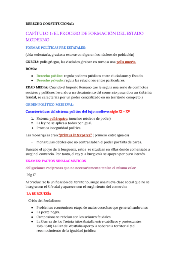 Miniatura del documento Constitucional-I.docx.pdf