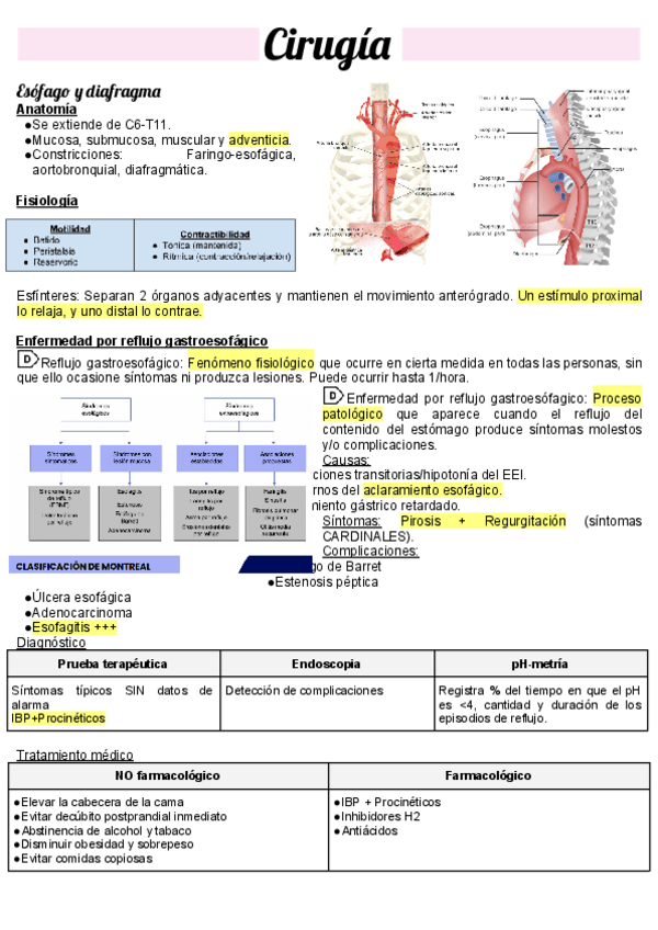 Miniatura del documento Apuntes-cirugia.pdf