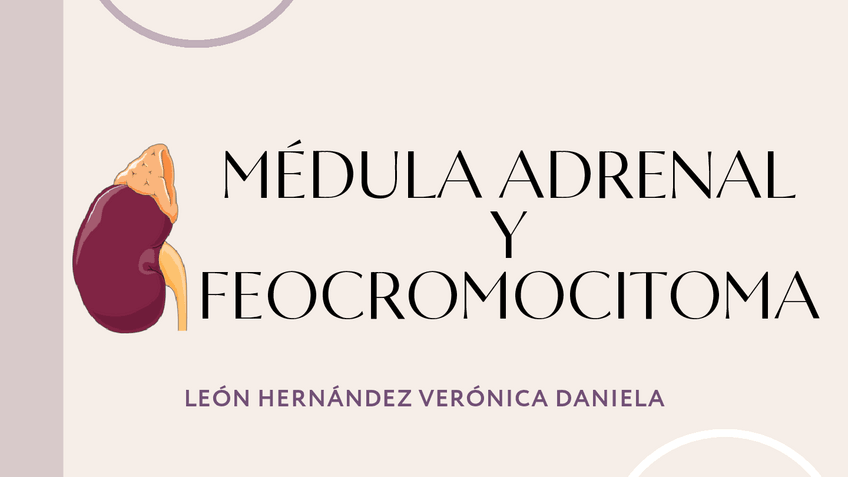 Miniatura del documento Medula-adrenal-y-feocromocitoma.pdf