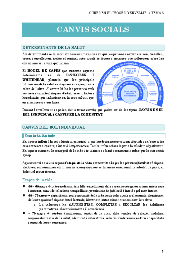 Miniatura del documento 6.-CANVIS-SOCIALS.pdf