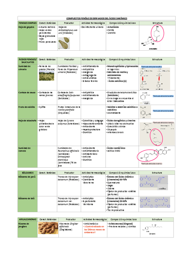 Miniatura del documento Tablas-Metabolitos-Secundarios-Farmacognosia.pdf
