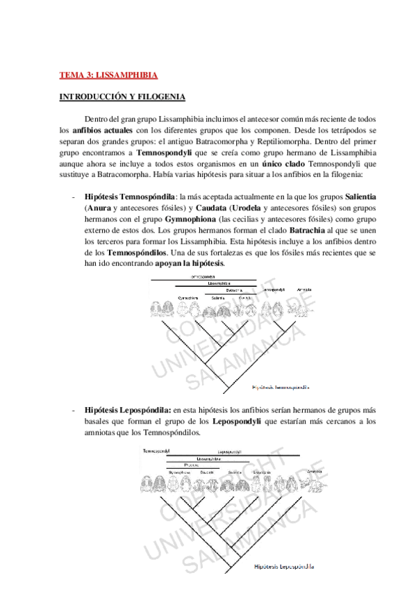 Miniatura del documento AP-FAUNA-TEMA-3-WH.pdf