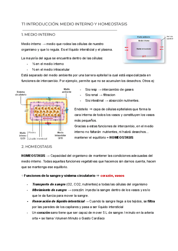 Miniatura del documento ANATOMIA-2.pdf