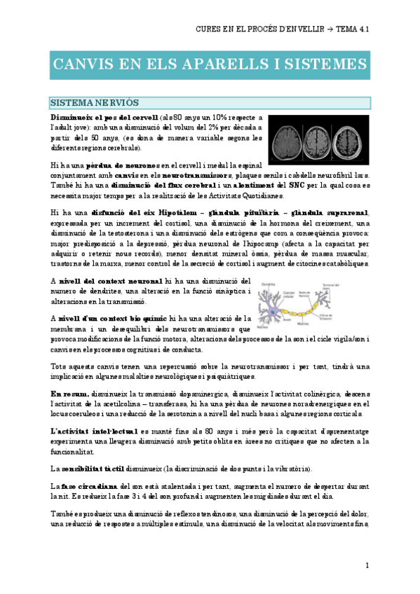 Miniatura del documento 4.1-CANVIS-EN-ELS-APARELLS-I-SISTEMES.pdf