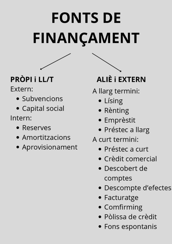 Miniatura del documento FONTS-DE-FINANCAMENT.pdf