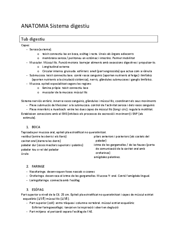 Miniatura del documento ANATOMIA.-Sistema-Digestiu.pdf