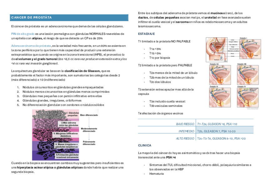 Miniatura del documento resumen-cancer-de-prostata.pdf