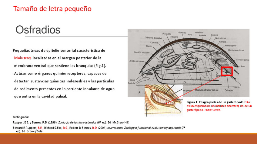 Miniatura del documento 2023Seminario-1-Correcciones-2.pdf