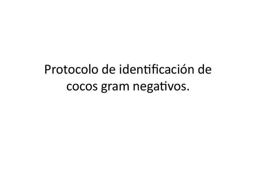 Miniatura del documento Pidentificacincocosgramnegativos.pdf