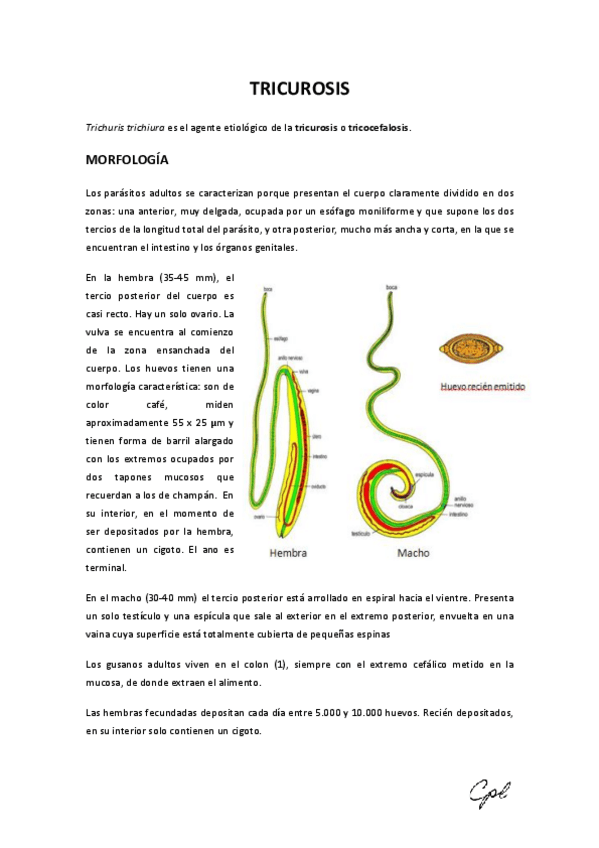 Miniatura del documento PR.- Tricurosis.pdf