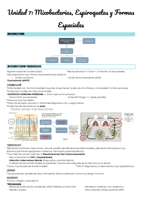 Miniatura del documento Unidad-7-Micobacterias-Espiroquetas-y-Formas-Especiales.pdf