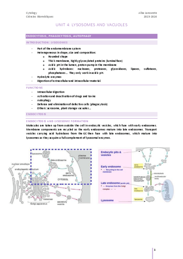 Miniatura del documento cytology-U4-lysosomes-and-vacuoles.pdf