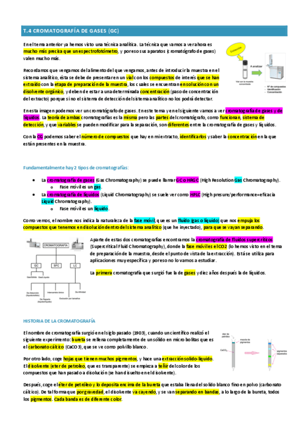 Miniatura del documento INSTRUMENTAL-t4-cromatografia-de-gases.pdf