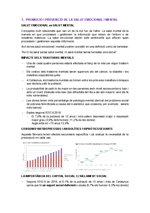 Miniatura del documento PROMOCIO-I-PREVENCIO-DE-LA-SALUT-EMOCIONAL-I-MENTAL.pdf