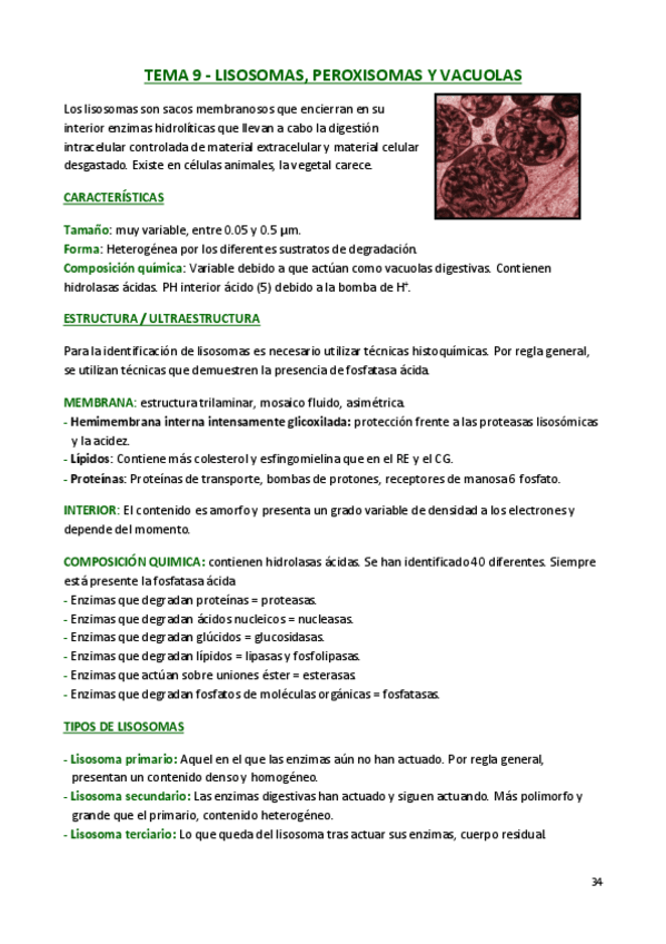 Miniatura del documento apuntes-biologia-9-16.pdf