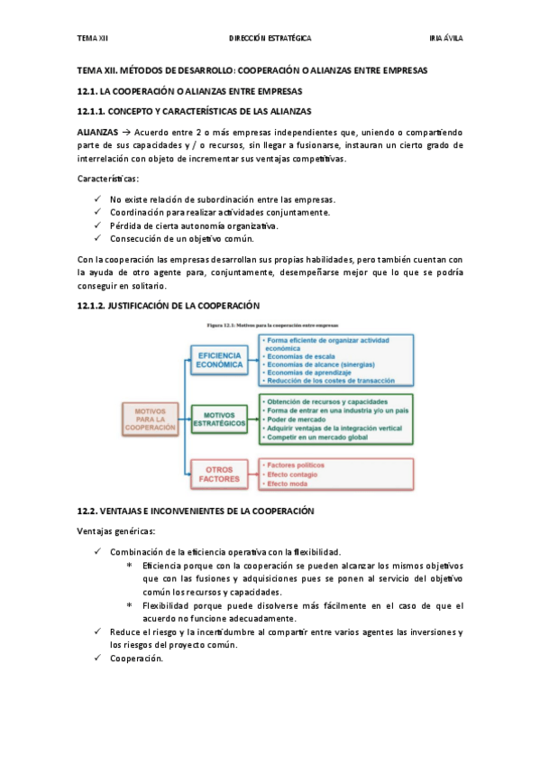 Miniatura del documento TEMA-XII.-METODOS-DE-DESARROLLO-COOPERACION-O-ALIANZAS-ENTRE-EMPRESAS.pdf