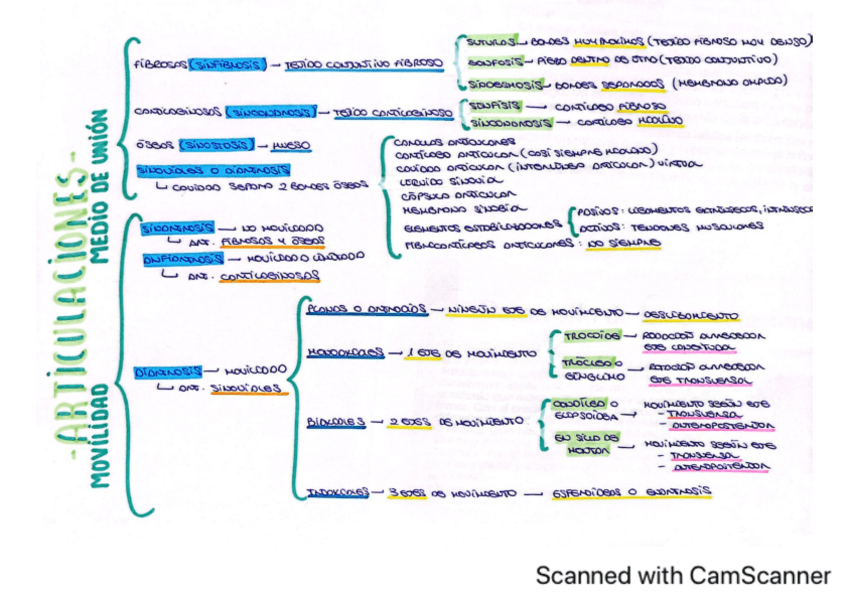Miniatura del documento resumen-clasificacion-articulaciones.pdf
