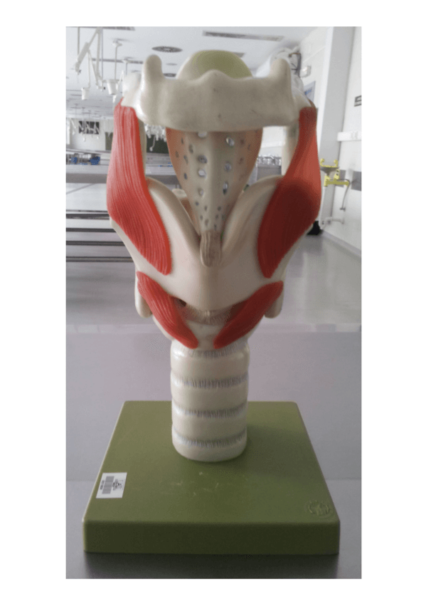 Miniatura del documento imagenes-para-practicar-y-examen.pdf