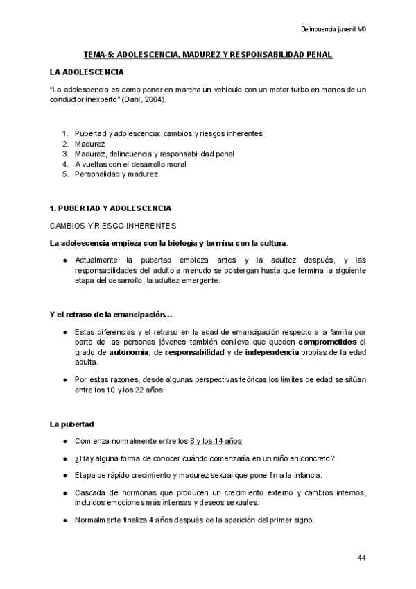 Miniatura del documento DELINCUENCIA-JUVENIL-Documents-de-Google.pdf