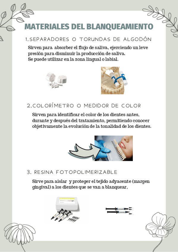 Miniatura del documento Instrumental-de-blanqueamiento.pdf