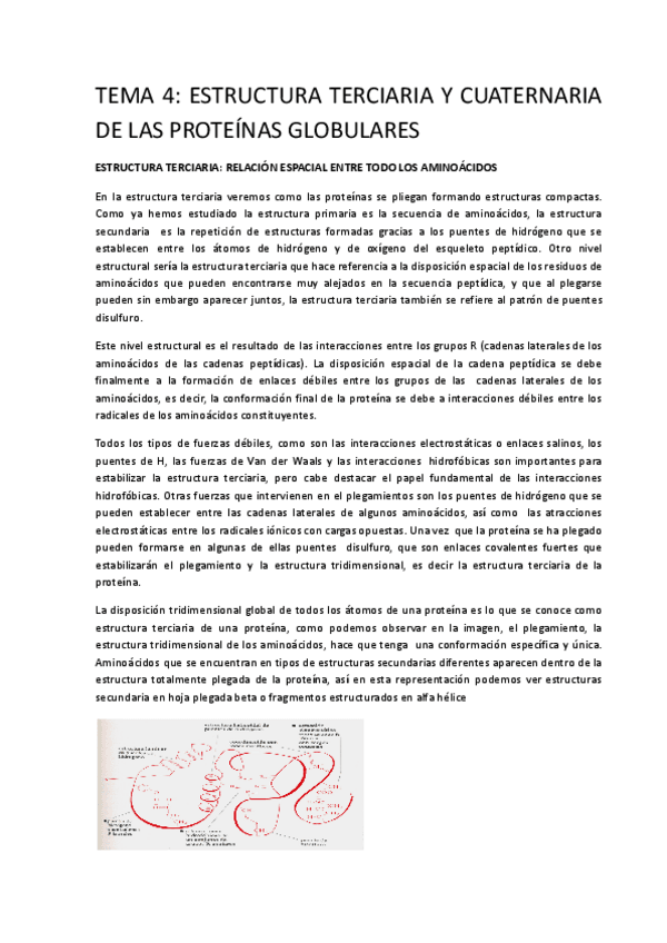 Miniatura del documento TEMA-4.pdf