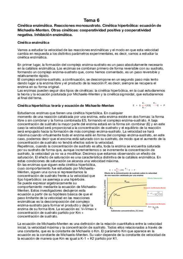 Miniatura del documento Tema-6.pdf