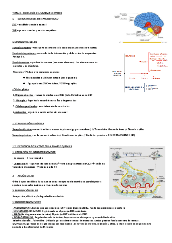 Miniatura del documento TEMA-3-FISIOLOGIA.pdf