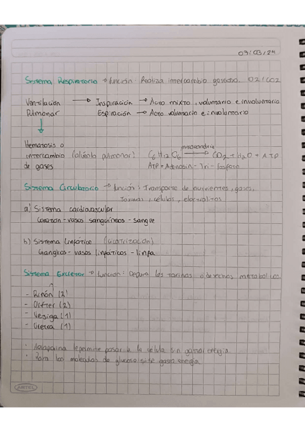 Miniatura del documento Funcion-Nutricion-Sistema-Respiratorio-Circulatorio-y-Excretor.pdf