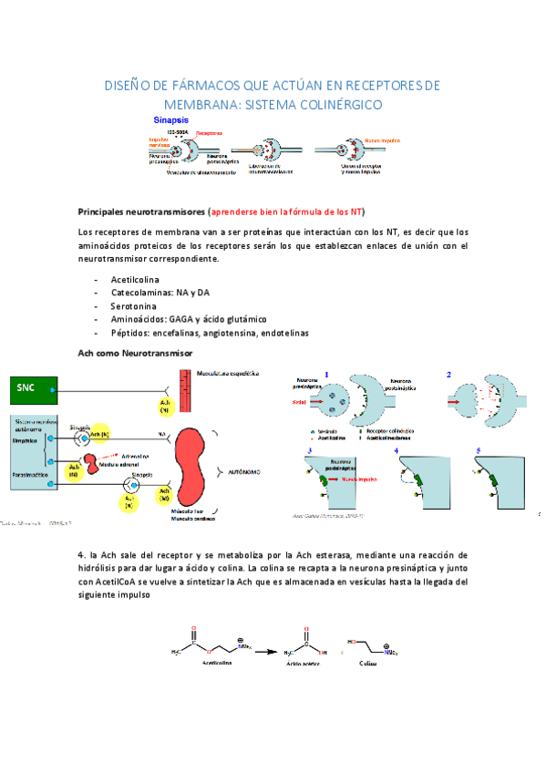 Miniatura del documento TEMA 1.pdf