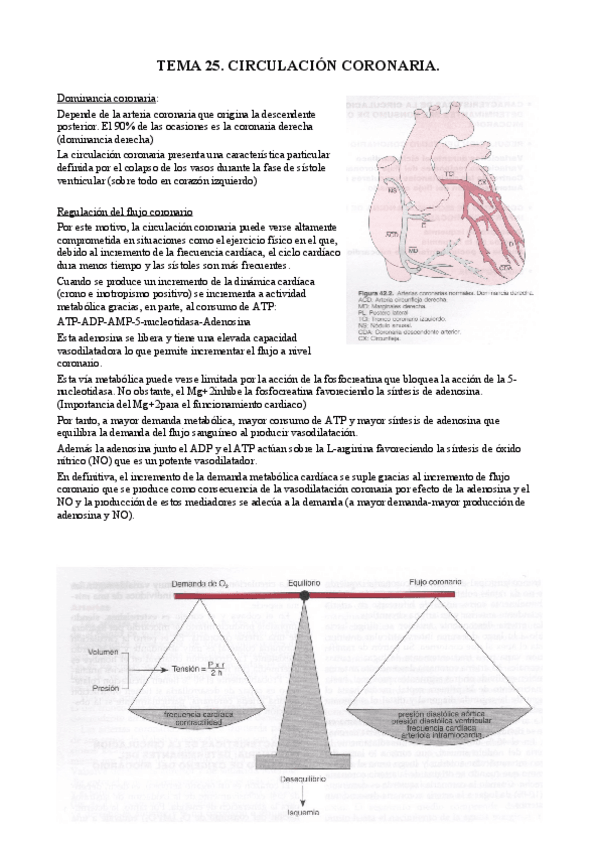 Miniatura del documento T25. Circulación coronaria.pdf