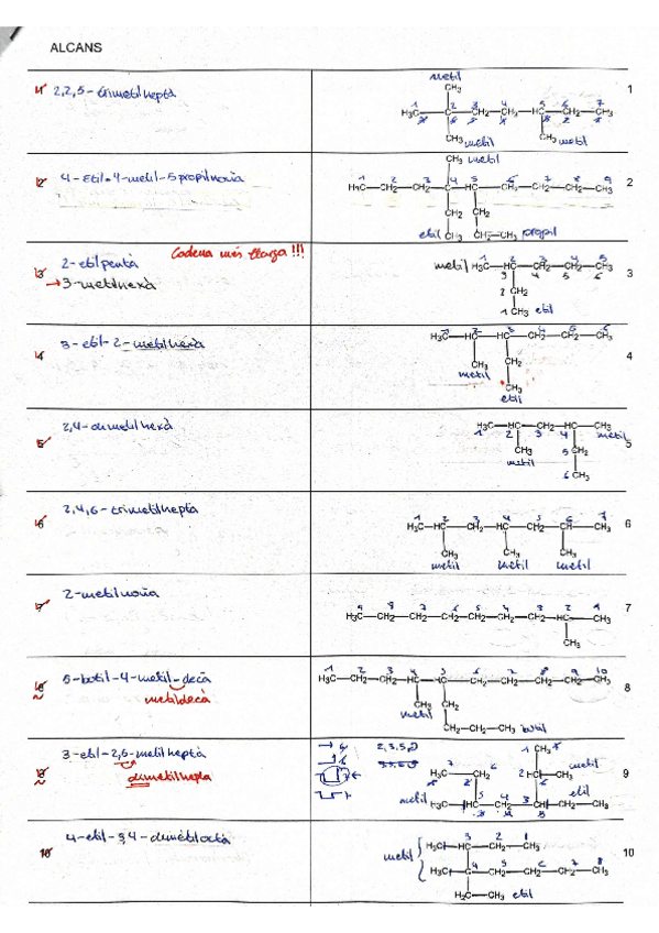 Miniatura del documento FORMULACIO-ORGANICA.pdf