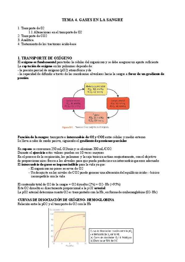 Miniatura del documento T4 bq cl.pdf
