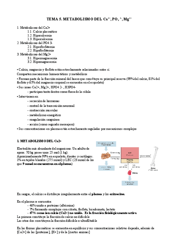 Miniatura del documento T5 bq cl.pdf