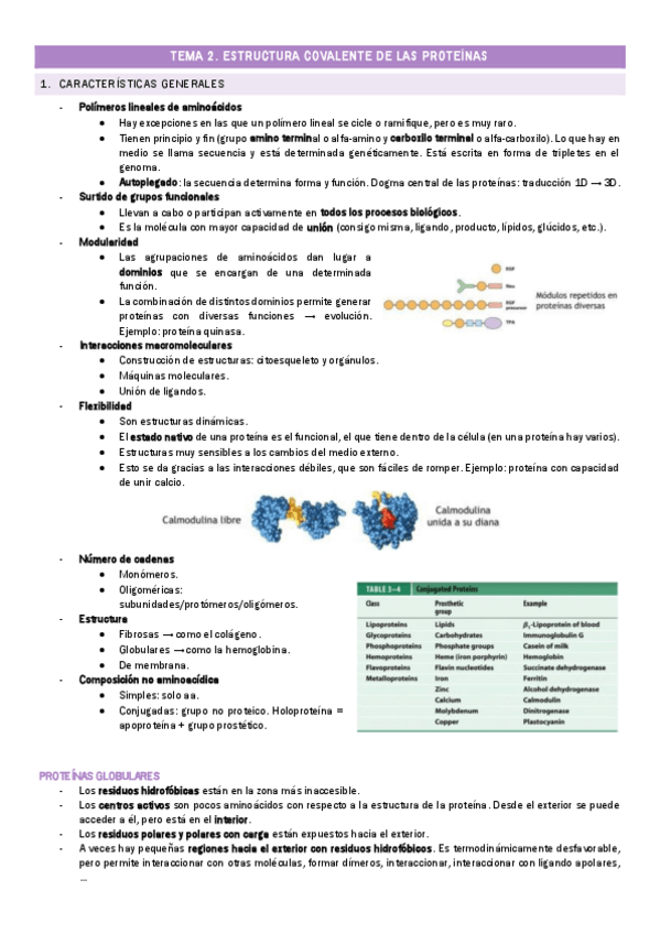 Miniatura del documento TEMA-2.-Estructura-covalente-de-las-proteinas.pdf